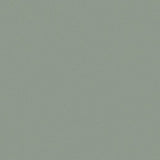 Ensfarvet vinylgulv - BLUSH UNI OLIVEN 525