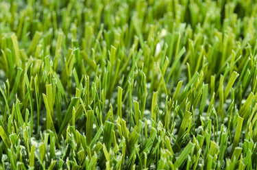 Grass  Kunstgræs Tæppe - 110 Grøn (Rundt)