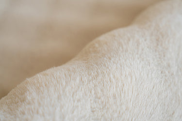 Hailey Tæppe - 125 Creme