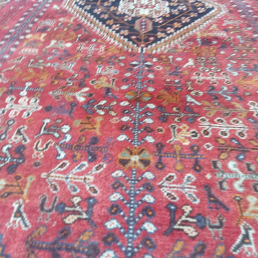 Kashghai 165x258