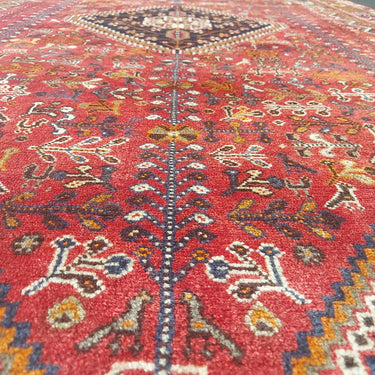 Kashghai 165x258
