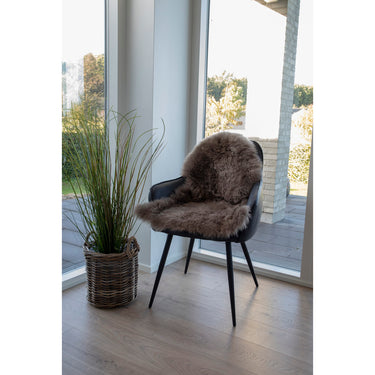 New Zealandsk Lammeskind 50x85 - Mushroom