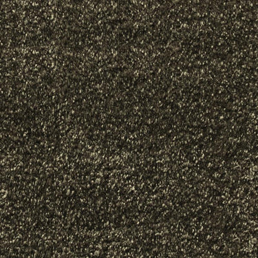 Fletco Bichon Home  -325260