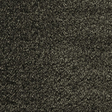 Fletco Bichon Home  -325290